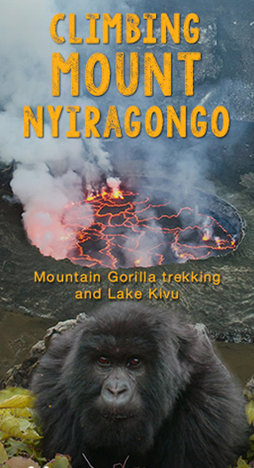 Gorila Expeditions Rwanda